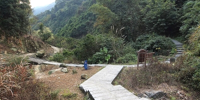 Forked road
