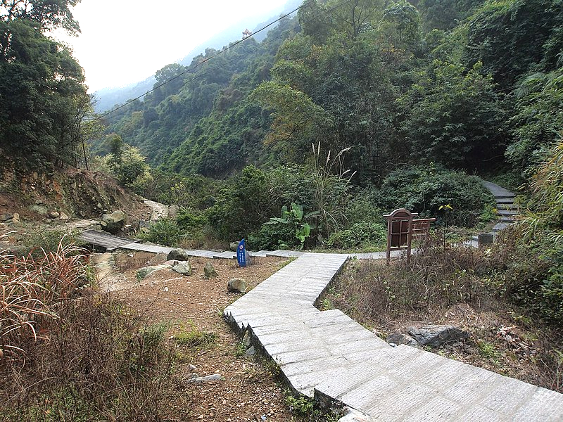 Forked road